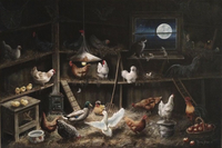 un poulailler bien garni, dans une ambiance de nuit avec un lutin, une vieille boîte au lettre, une cane amie avec un colvert, quelques poussins et toutes sortes de poules